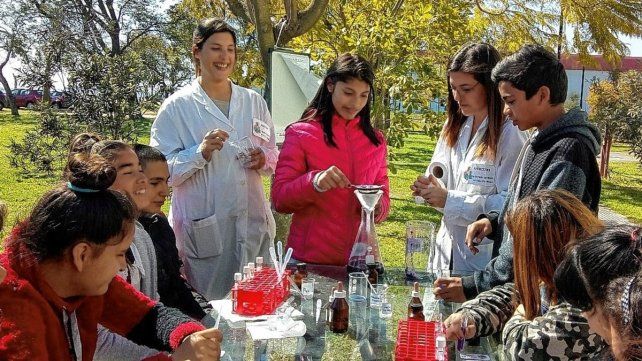 Imágenes del Picnic ediciones 2018 y 2019.