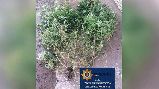 Los elementos secuestrados durante el operativo de Venado Tuerto.