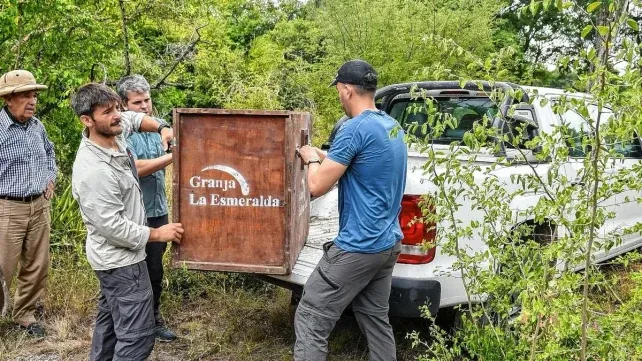 Santa Fe: en un año se rescataron 1.402 animales silvestres y se logró la liberación de 570