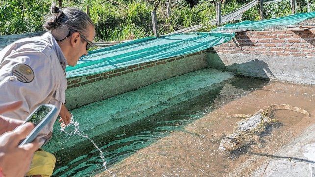 Nuevas especies llegaron a Santa Fe para ser reinsertados en sus hábitats