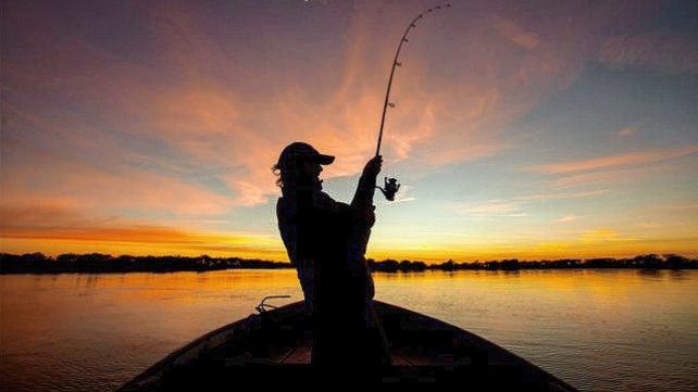 Las cabañas ubicadas a la vera del río ofrecen guías de pesca y avistamiento de flora y fauna en las islas.