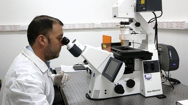 Los primeros resultados de la investigación confirman que los animales no contagian a los humanos pero es importante continuar con la vigilancia.