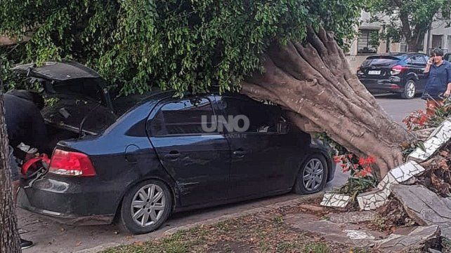 Los fuertes vientos hicieron caer un añejo árbol sobre un automóvil.