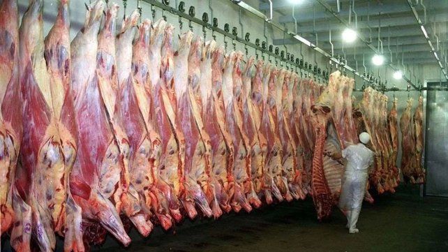 Los frigoríficos santafesinos frenan faena por falta de negocios y temen más aumentos en la carne Los frigoríficos santafesinos frenan faena por falta de negocios y temen más aumentos en la carne