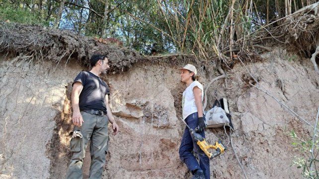 Provincia realizó un importante rescate paleontológico en el arroyo Pavón