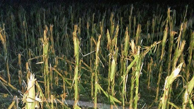 San Jorge. La tormenta arrasó y se llevó techos, árboles, casas y cultivos.