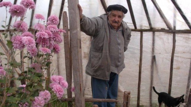 El expresidente de Uruguay, José Pepe Mujica, en su chacra.