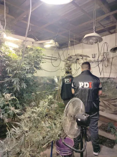 La droga secuestrada en Villa Hipódromo