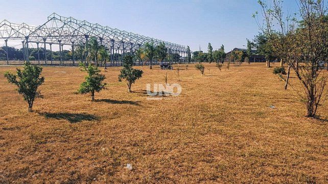Parque Federal. Una plantación de más de 25 árboles frutales es mantenida por los propios vecinos del barrio. 
