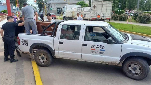 La gente de fauna de la provincia recapturó al animal