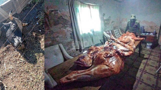 Cayeron cuatreros que habían robado y faenado un novillo