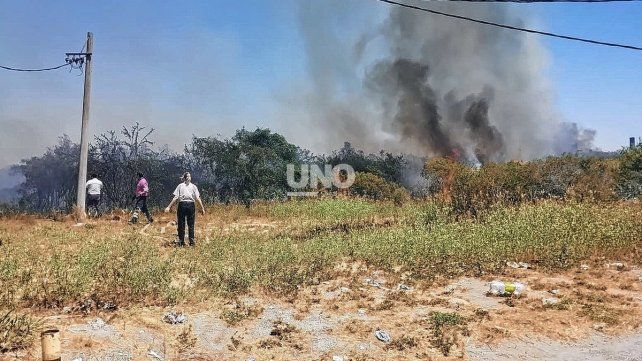 Grandes esfuerzos para combatir el fuego que se desat&oacute; a la vera de la ruta nacional 168.