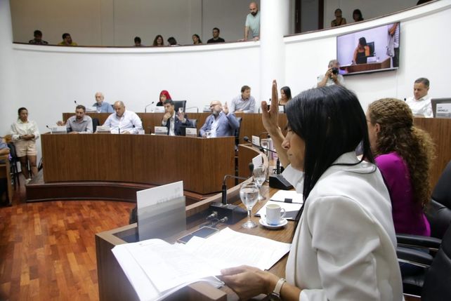 La Concejala Titi Barletta, impulsora de iniciar la ronda de consultas por la regularización de Uber