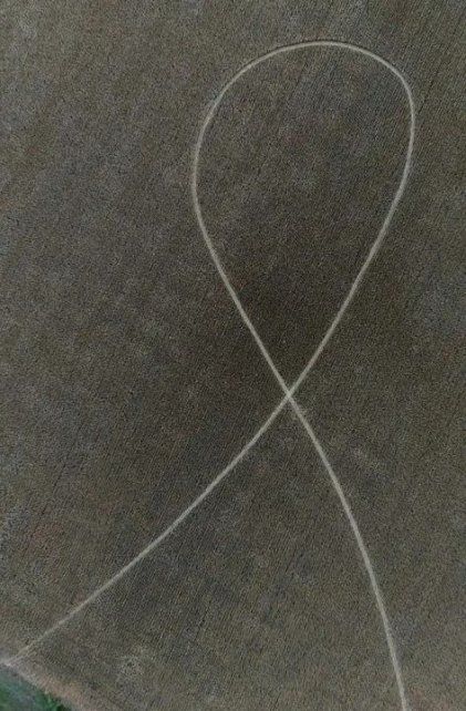 Sorpresa en Avellaneda por las marcas en un trigal Sorpresa en Avellaneda por las marcas en un trigal