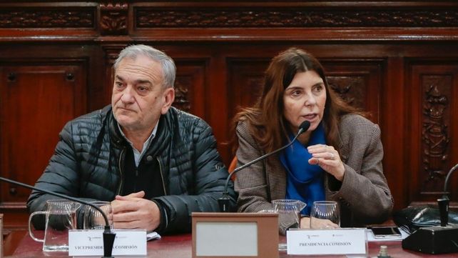 La Convención ingresa en un momento clave: la etapa de elaboración de dictámenes.