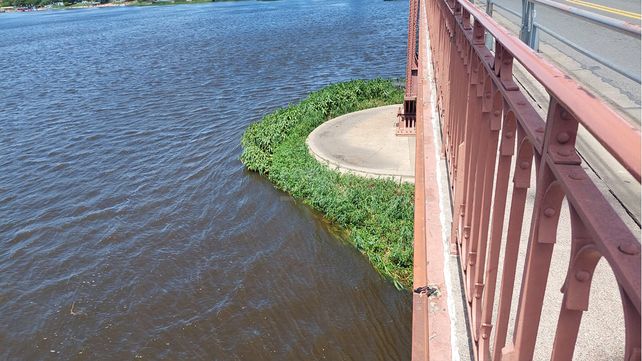 El agua amenaza con tapar los pilotes del Puente Colgante