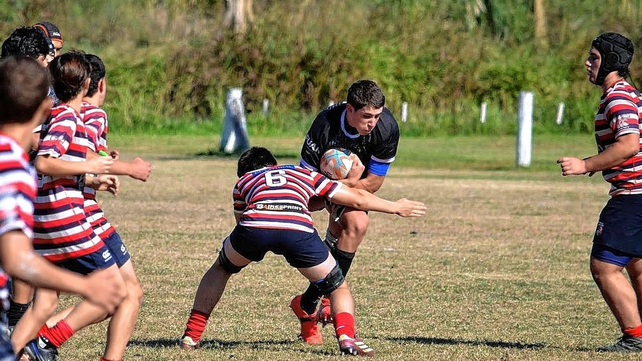 Incidencias del choque entre Cuervos y Tricolores en Menores de 15 a&ntilde;os.