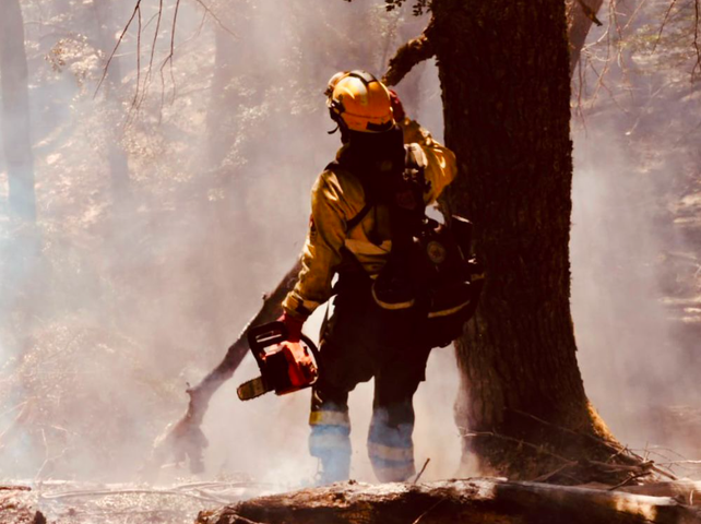 Brigadistas santafesinos le hacen frente a los incendios forestales en Chubut con ataque directo y tareas de contención