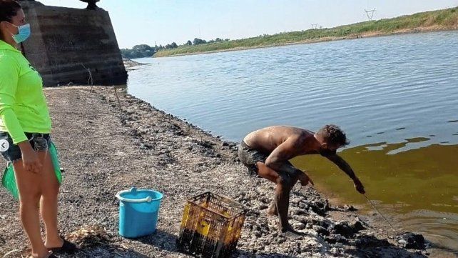 El trabajo de los rescatistas santafesinos para salvar a la fauna del lugar