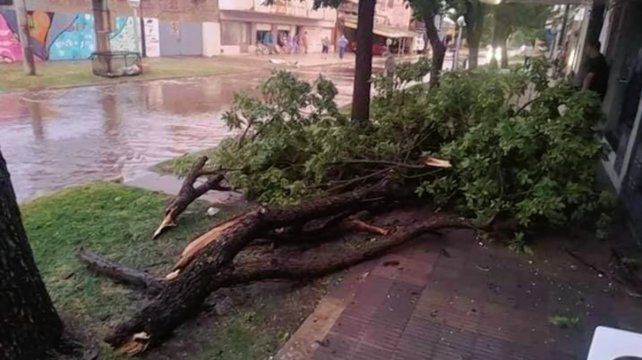 Los destrozos en la localidad El Trébol. (El Trébol Digital)