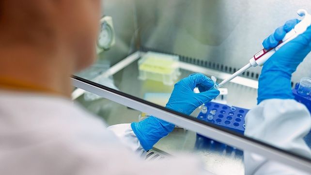 Imagen ilustrativa Imagen ilustrativa