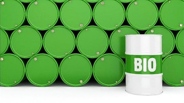 En la provincia hay más de 20 plantas productoras de biodiesel