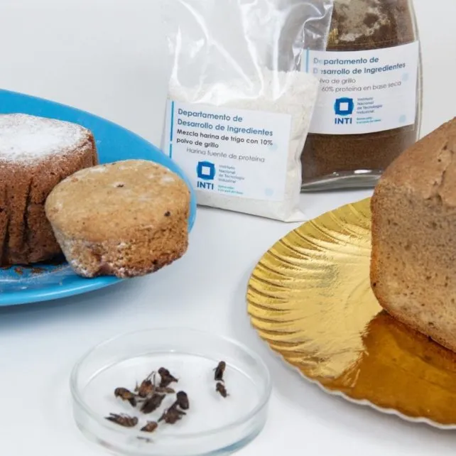 Los alimentos funcionales tienen un alto contenido de algún nutriente que hace bien al organismo y muchos insectos entran en este grupo.