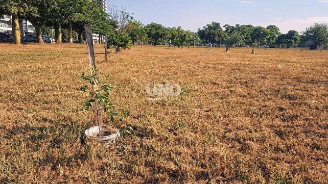 Parque Federal. Una plantación de más de 25 árboles frutales es mantenida por los propios vecinos del barrio. 