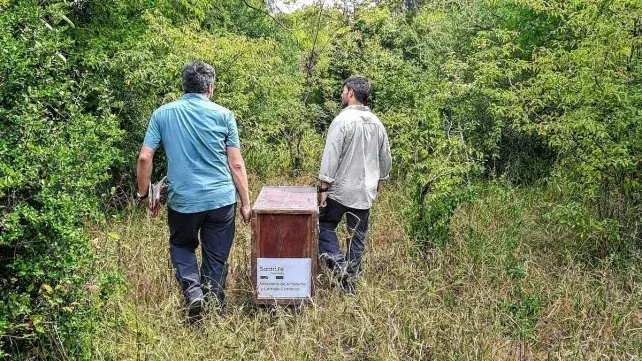 Santa Fe: en un año se rescataron 1.402 animales silvestres y se logró la liberación de 570