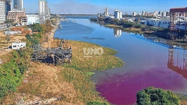 Una mancha violeta tiñó la cabecera del Dique 2 del puerto de Santa Fe.