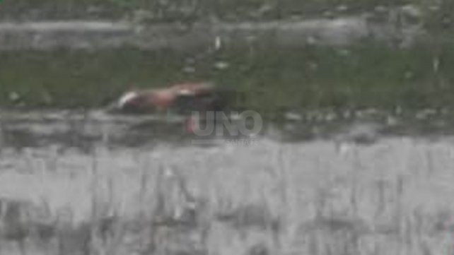 El cuerpo hallado en la zona de bañados de Colastiné