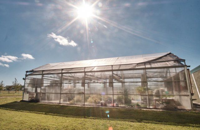 Imagen del lugar de trabajo en el predio del Conicet-UNL