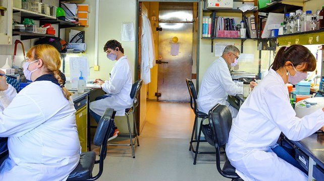 Verónica López , Felipe Nuñez, Eduardo Cafferata y Sabrina Vinzón trabajan en el laboratorio. Foto: gentileza FIL.