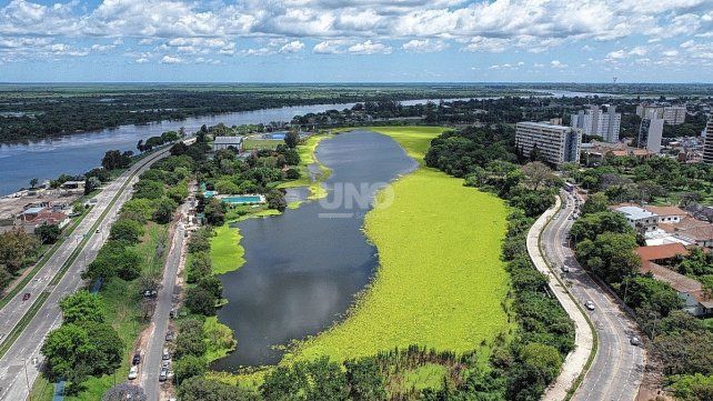 Captura aérea del lago del parque del Sur cubierto por la planta acuática 