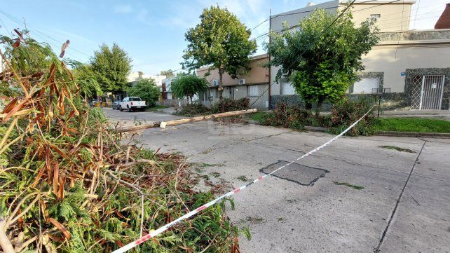 Regis Martínez y San Jerónimo 