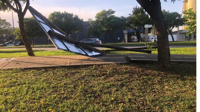 Fuerte temporal en Santa Fe: las ráfagas de viento llegaron hasta los 60 km/h y se registraron 40 árboles caídos