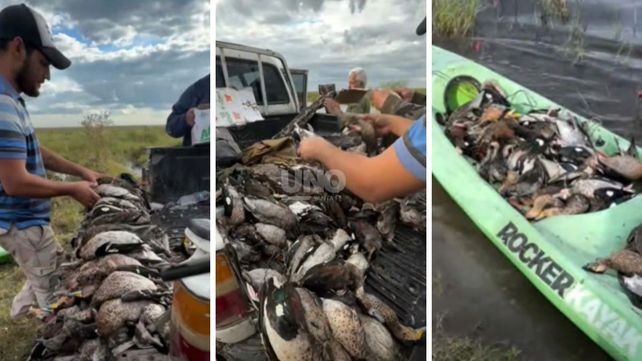 Denuncian la caza ilegal de más de 300 animales, incluyendo aves protegidas, en el norte de Santa Fe. Denuncian la caza ilegal de más de 300 animales, incluyendo aves protegidas, en el norte de Santa Fe.