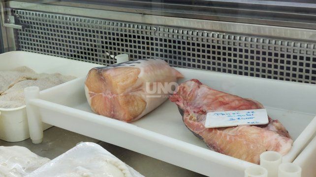 Productos de la pescaderías