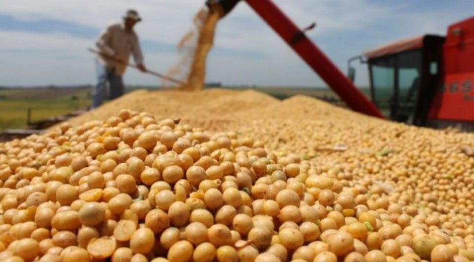 Fuerte caída en las exportaciones de soja en Santa Fe