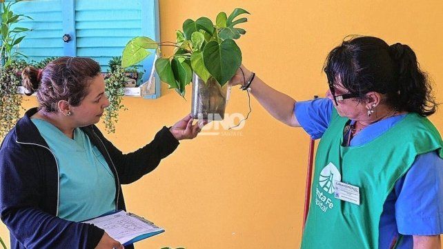 Mapa del dengue en Santa Fe: se confirmó la presencia del vector en 38 barrios de la ciudad Mapa del dengue en Santa Fe: se confirmó la presencia del vector en 38 barrios de la ciudad