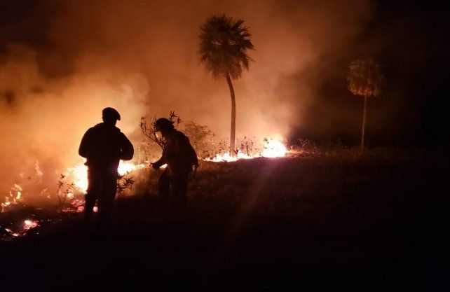 El trabajo de los Bomberos Zapadores de Vera en el campo de el Paraje Los Palmares. 