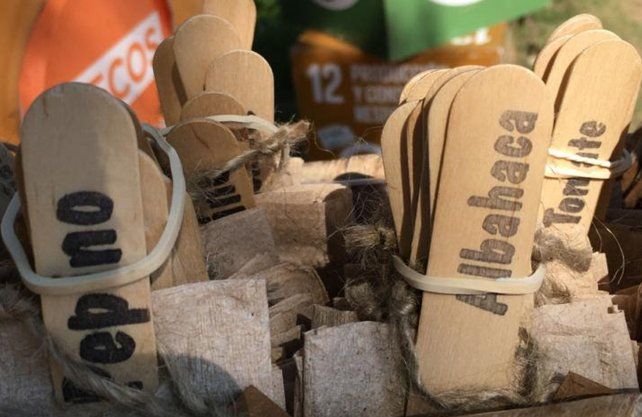 Semillas para plantar y comenzar a producir sus propios alimentos a cambio de la basura reciclada 