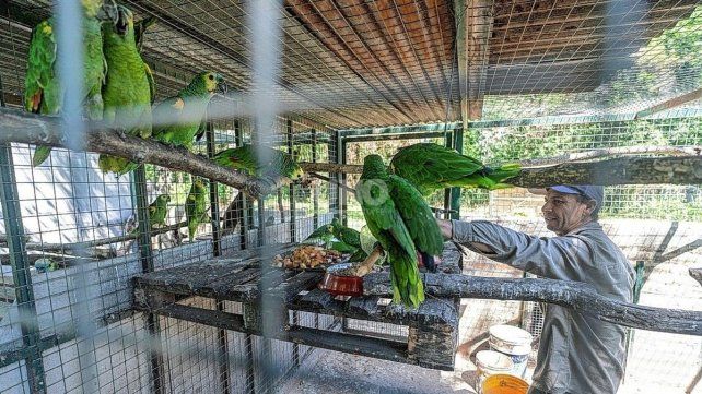 Nuevas especies llegaron a Santa Fe para ser reinsertados en sus hábitats