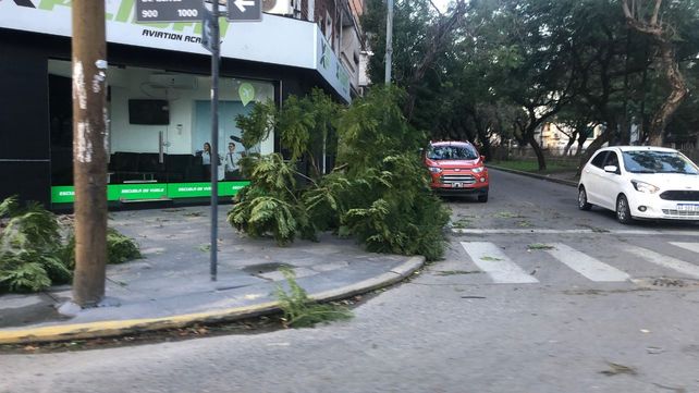 El fuerte temporal de viento que azot&oacute; Santa Fe dej&oacute; da&ntilde;os materiales, ca&iacute;da de ramas y cortes de luz