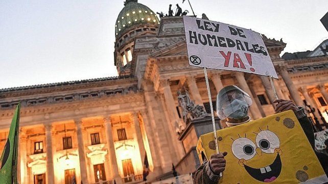 La movilización terminó en el Congreso dónde se entregó un petitorio pidiendo por el urgente tratamiento de la Ley