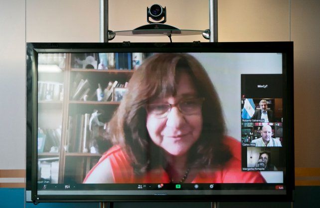 La semilla fue dsarrollada por un grupo de biólogos y biólogas moleculares junto a investigadoras e investigadores liderados por doctora Raquel Chan.