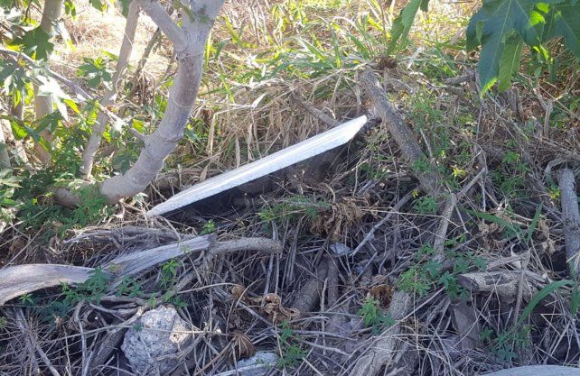 Los restos encontrados por los vecinos en el lugar.
