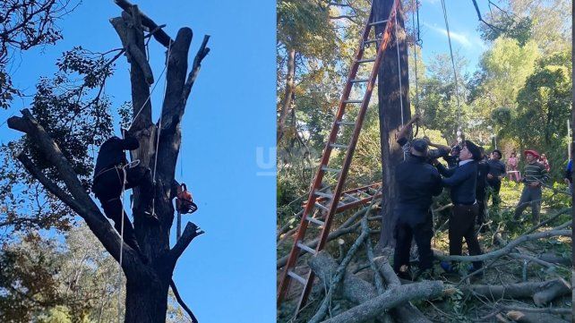 Impactante rescate a un hombre que quedó atrapado a 10 metros de altura con una motosierra encendida