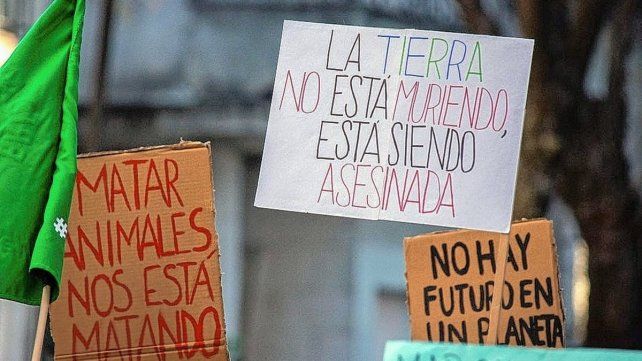 Rosario. El viernes 24 de septiembre, en distintos puntos del país se replicó la Marcha Mundial por el Clima.
