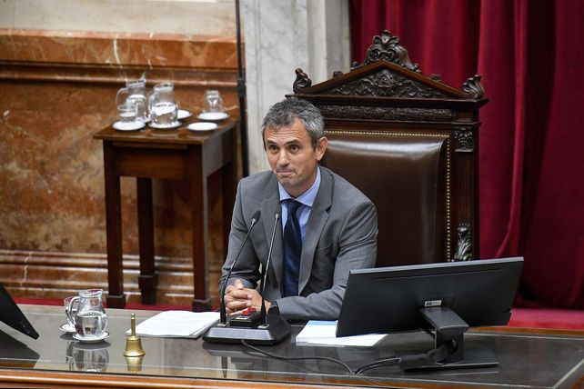 El presidente de la Cámara de Diputados, Martín Menem.
